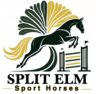 splitelmsporthorses.com